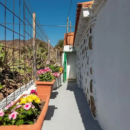 Ca' Pepita Y Jose Nyaraló El Albercon